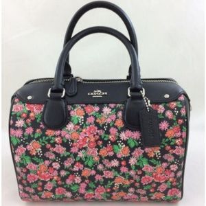 Posey cluster mini bennett shoulder hand bag